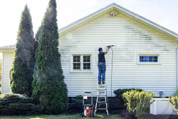 Why Choose Our Certified Pressure Washing Experts for Your Project Needs in Iota, LA?