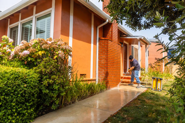 Best Local Pressure Washing Services  in Iota, LA